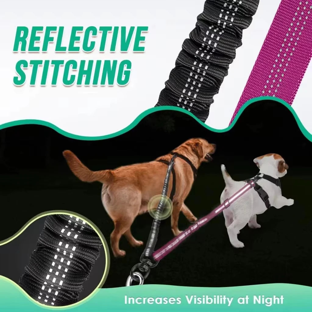 Anti-Shock Double Leash Attachment – Walk 2 Dogs Stress-Free 🐶🐶💛