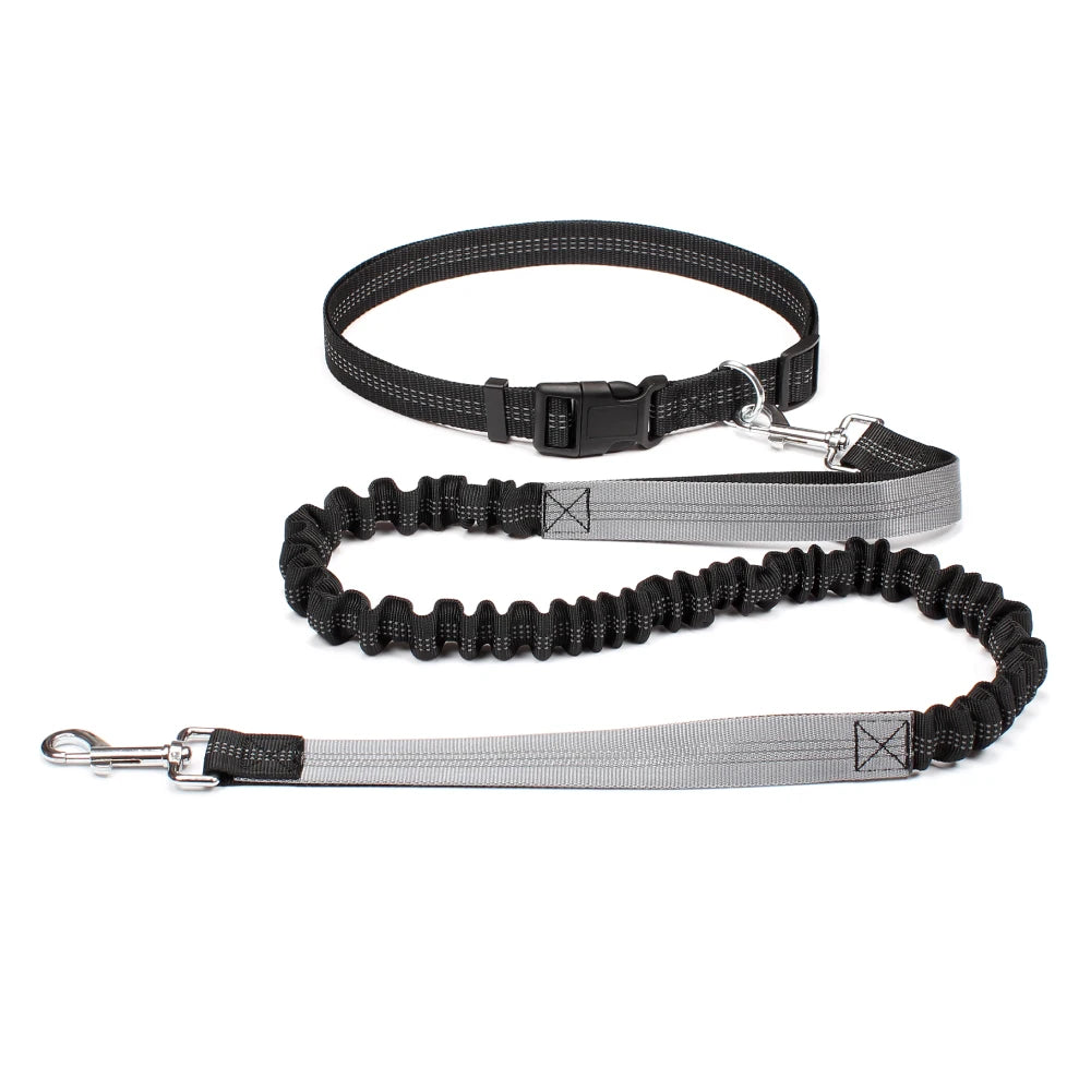 Comfort+ Hands-Free Leash for Dogs – Shock-Absorbing, Reflective & Adjustable 🐶🏃‍♂️💛