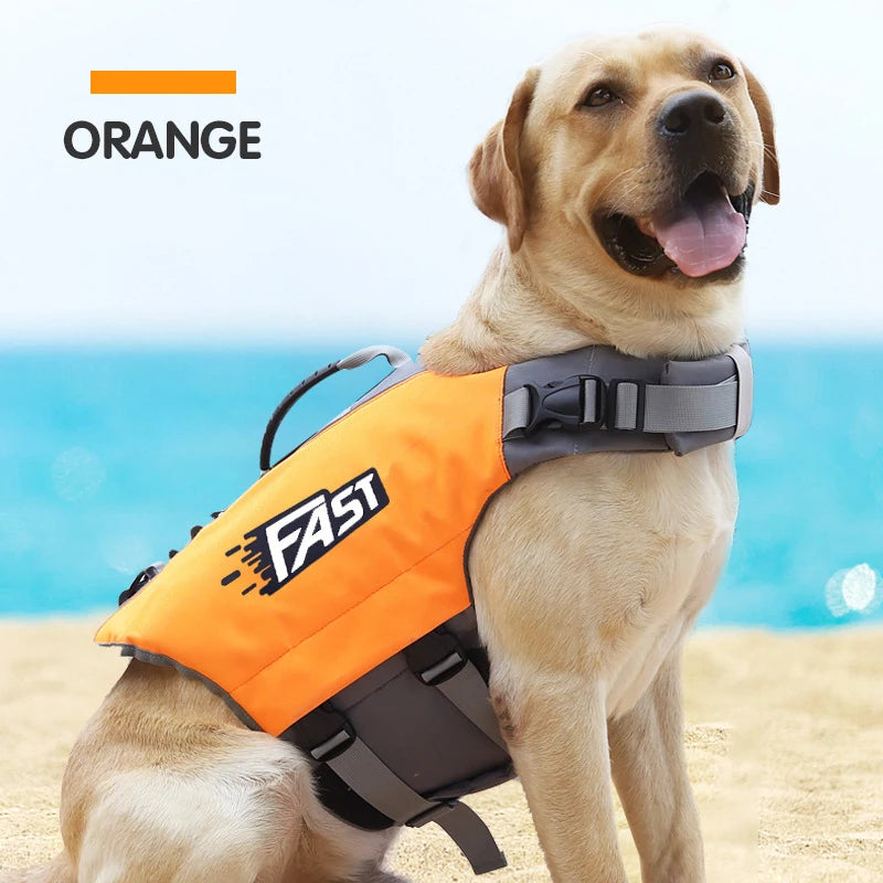 Gilet de Sauvetage Ajustable & Réfléchissant – Sécurité & Style Aquatique 🐶🌊✨💛