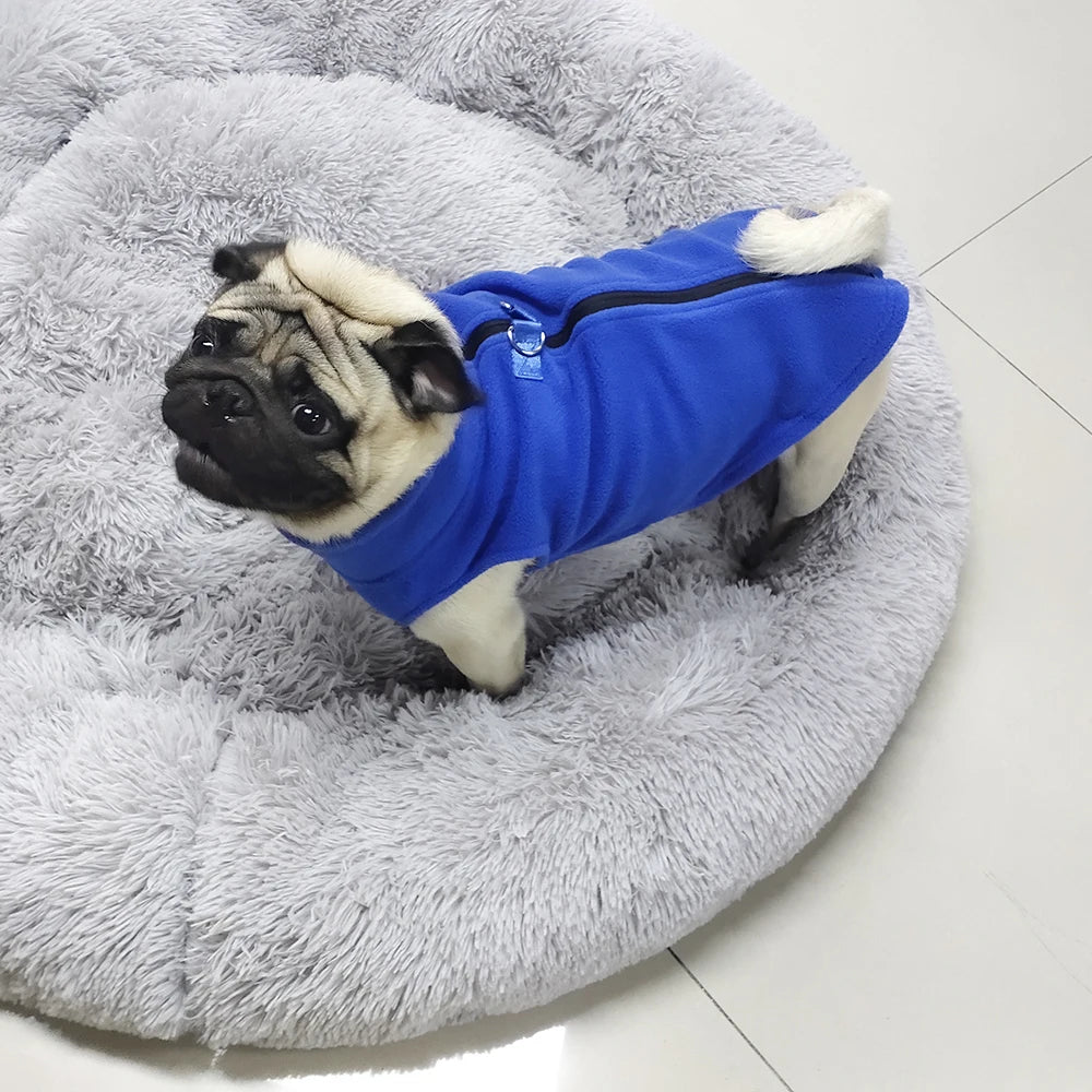 Zip Fleece Coat – Quick Warmth & Winter Comfort ❄️🐶💛