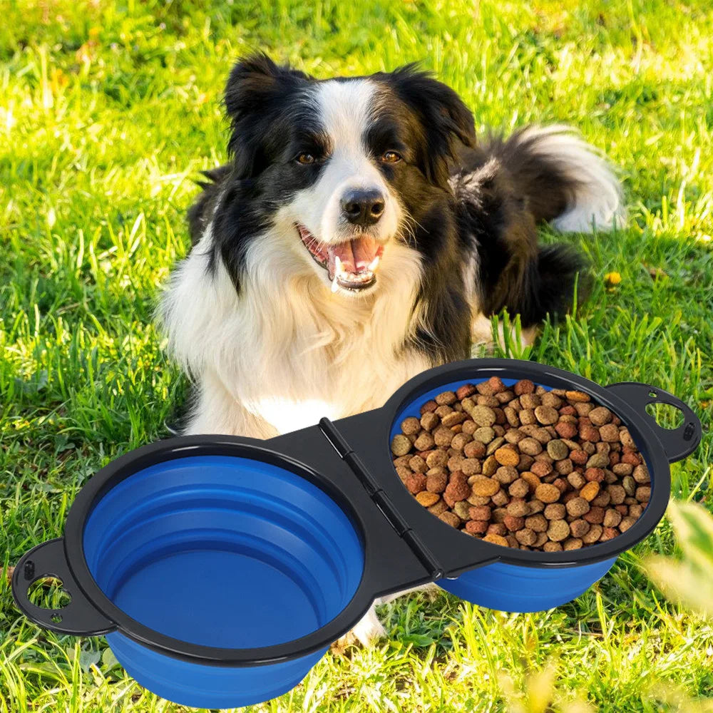Double Bol Pliable 2-en-1 – Voyage & Praticité Maximale 🥣🐶💛