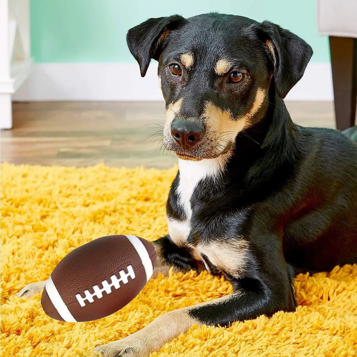 Floating Football - Extreme Play & Pure Energy 🏈🐶💛