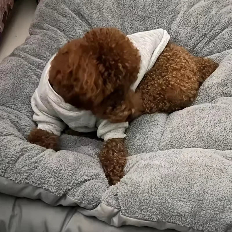 Lit Douillet Confort+ – Ultra Moelleux & Chaleur Apaisante 🐶🛏️💛