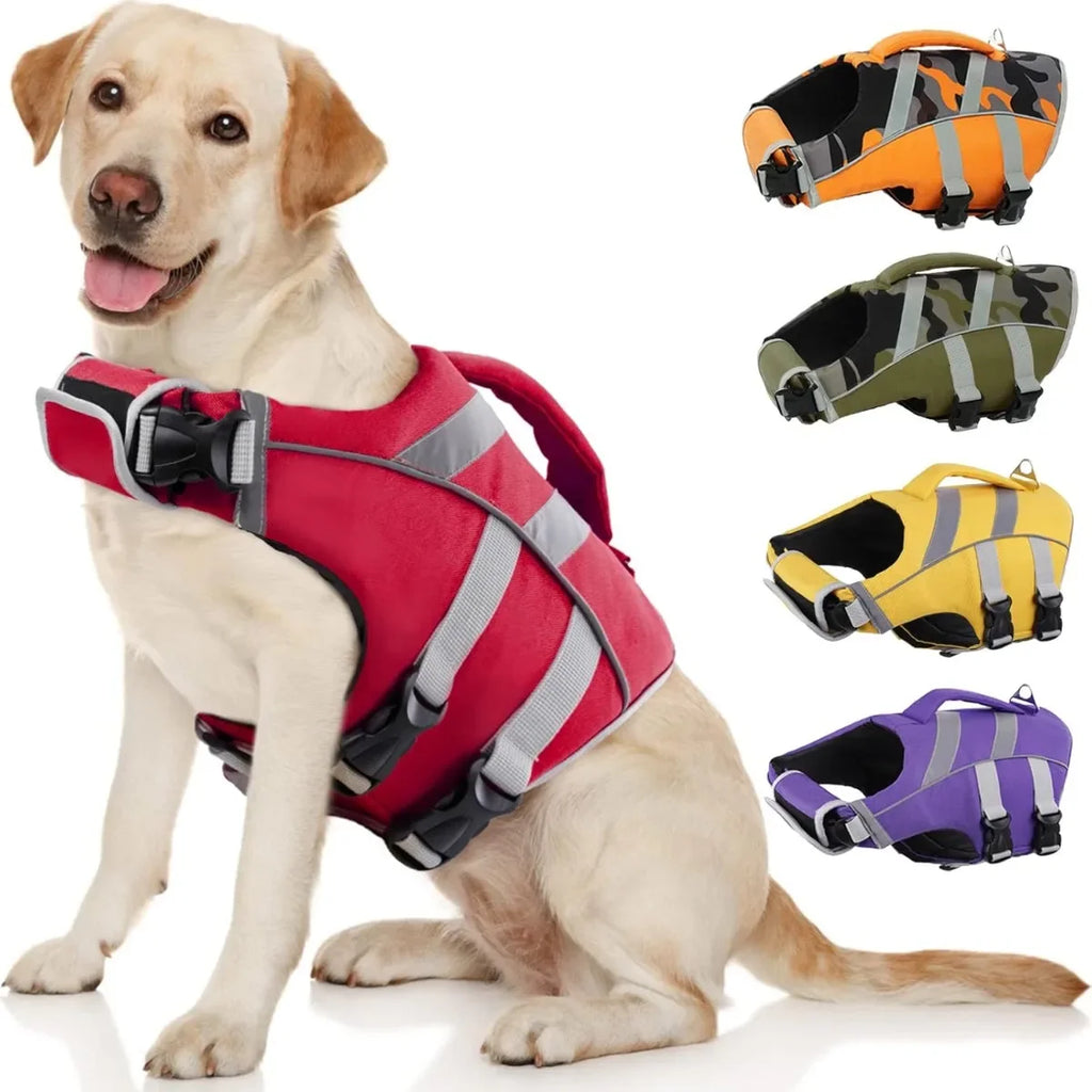 Gilet de Sauvetage pour Chien – Flottabilité & Sécurité Maximale 🐶🌊🦈💛