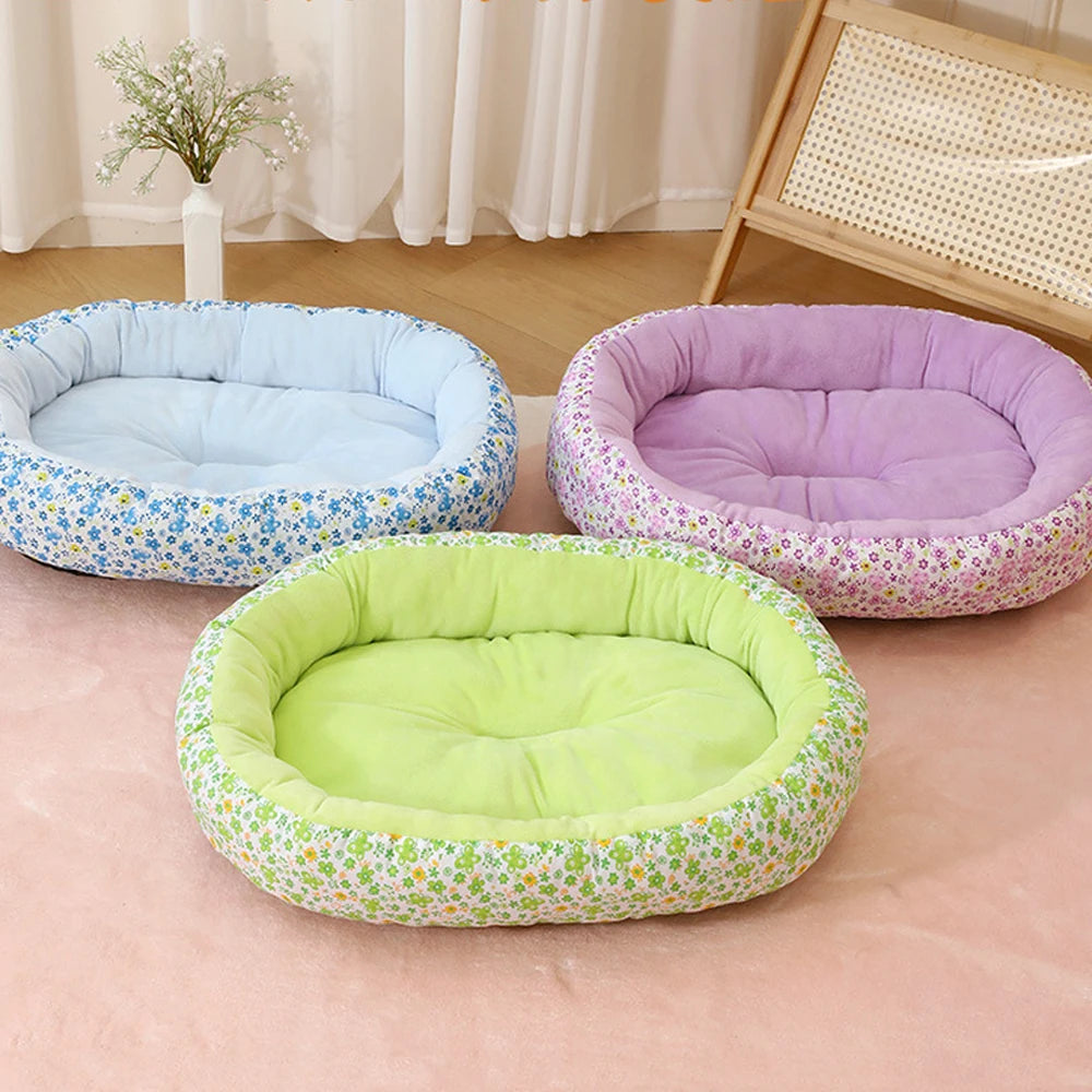 Cozy 4-Season Bed – Comfort & Snuggles 🛏️💛