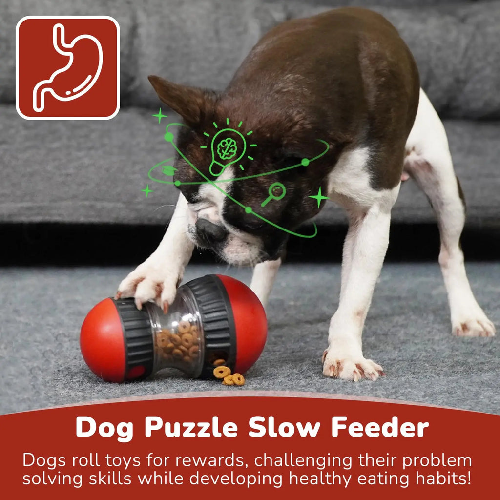 Jouet Puzzle Interactif pour Chiens – Stimulation et Intelligence