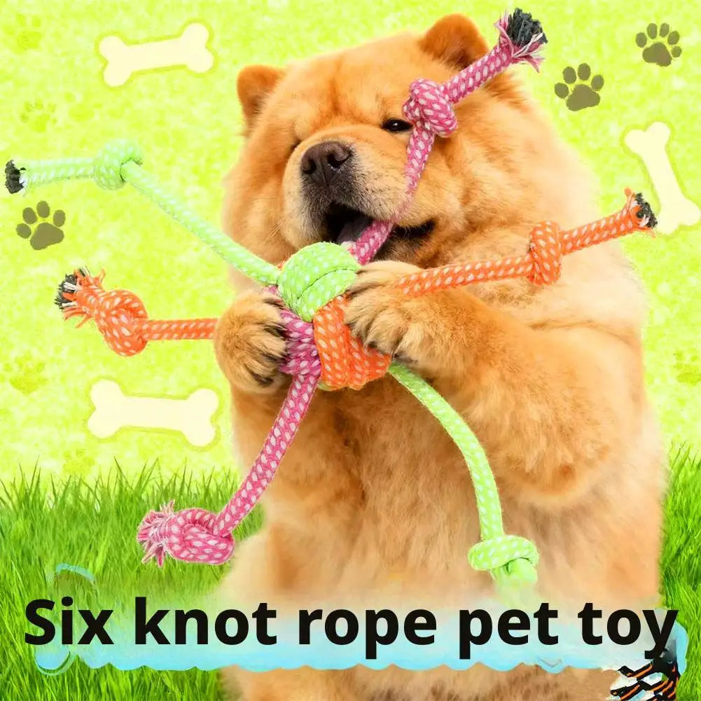 Jouet Corde Mini Résistant – Jeu & Santé Dentaire 🐶🪢💛