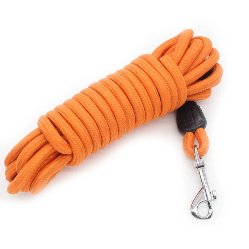 Training Leash – Gentle Control & Perfect Recall 🐶📏💛
