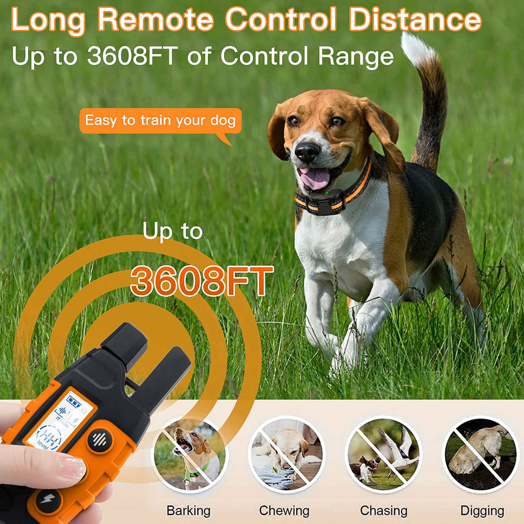 Collier de Dressage Longue Portée – Contrôle à Distance & Éducation Douce 📡🐶💛