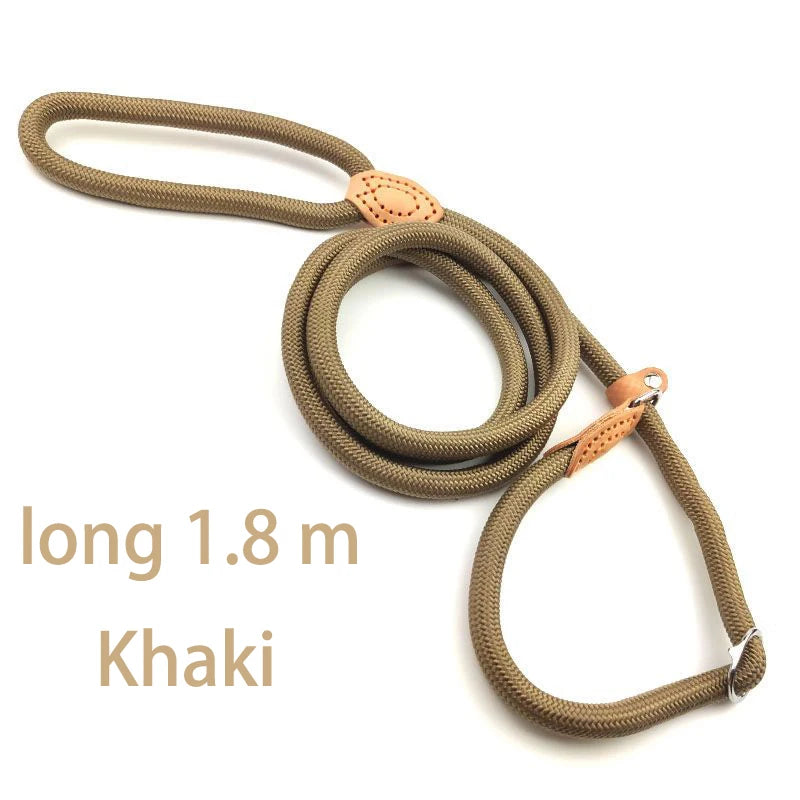 Harnais & Laisse Ajustable – Contrôle & Confort Optimal 🐶💪