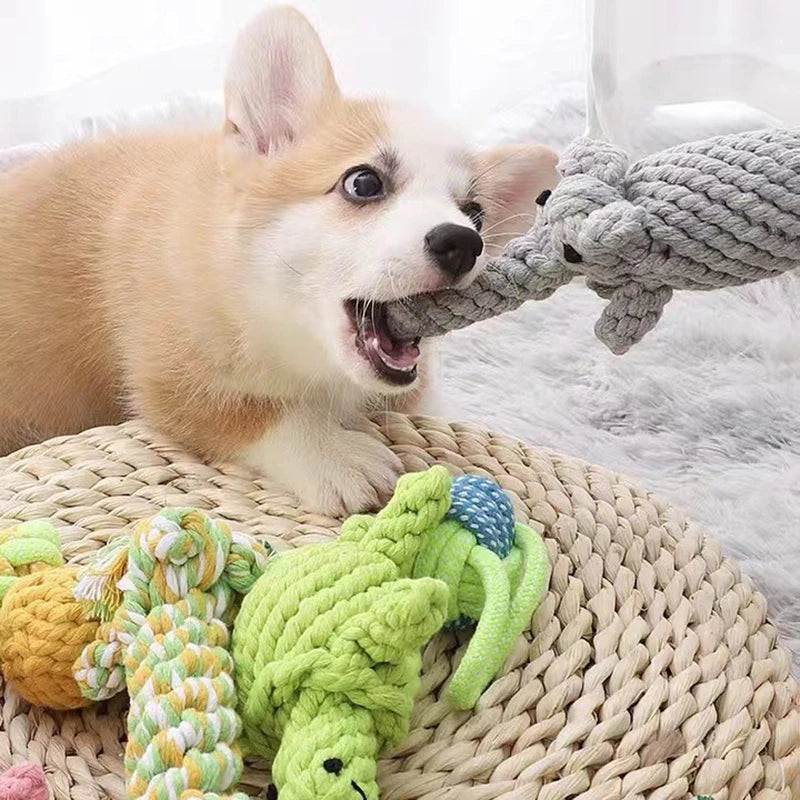 Cartoon Rope Toy – Durable & Interactive Play 🪢🐶💛