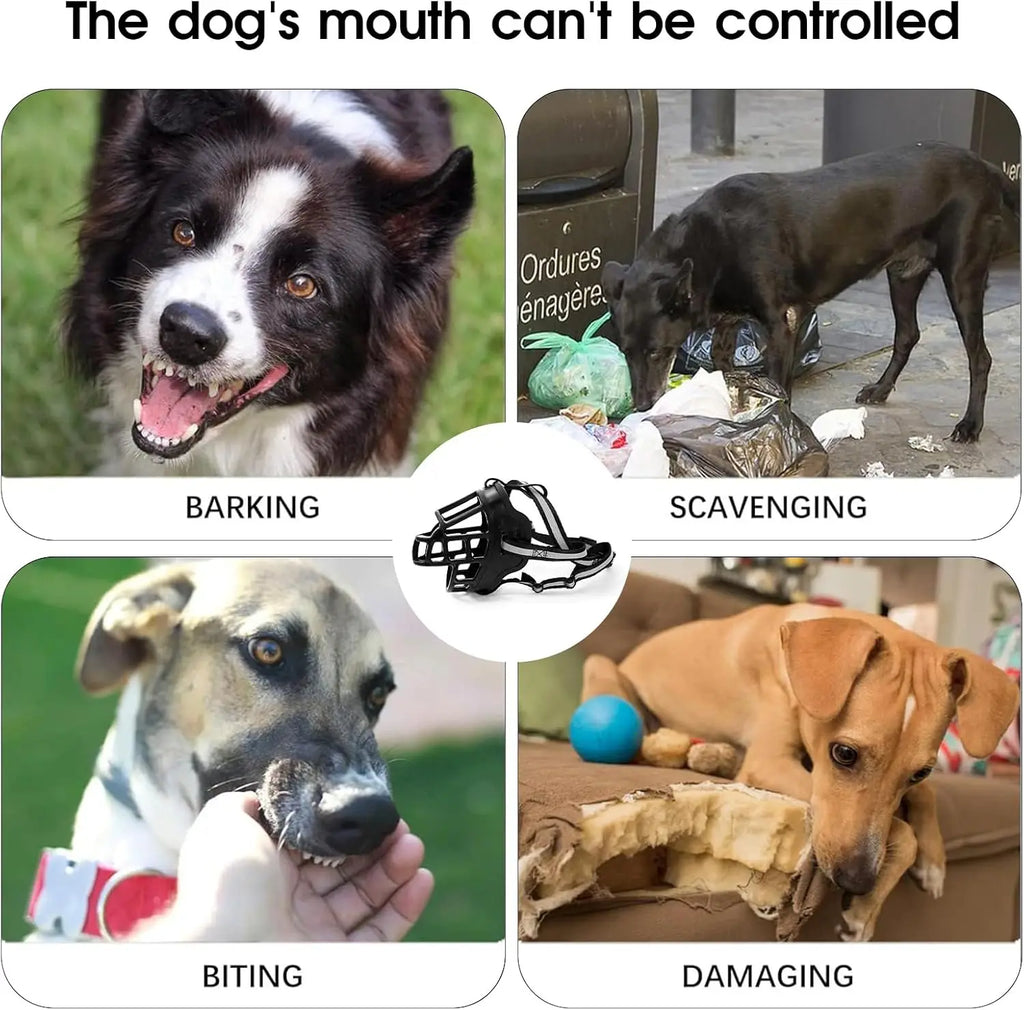 Museau Ajustable Respirant – Sécurité & Liberté 🐶💧🛑