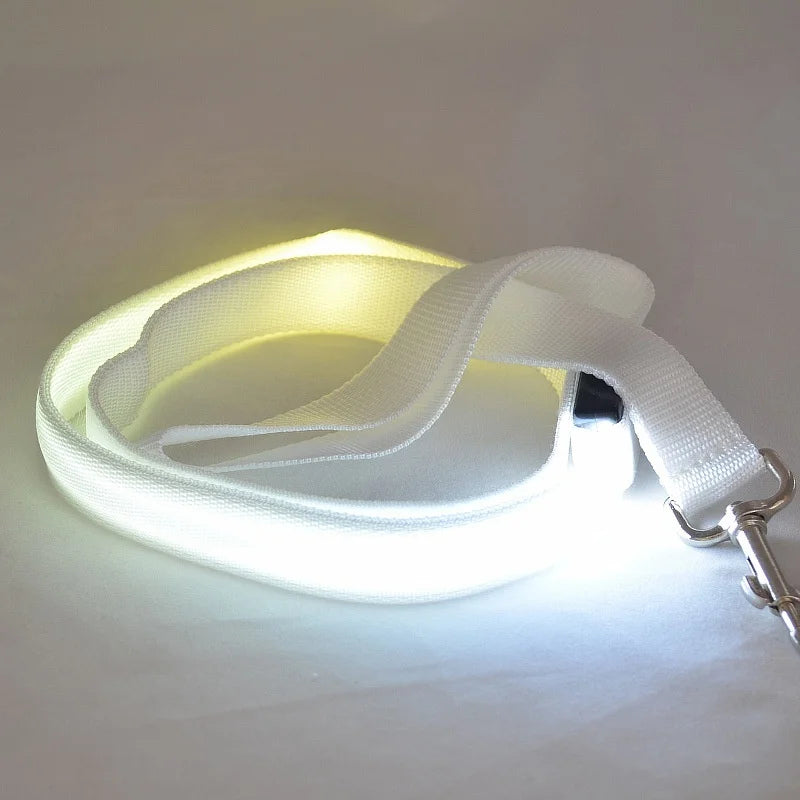 LED Luminous Leash – Night Visibility & Safety 🌙✨🐶