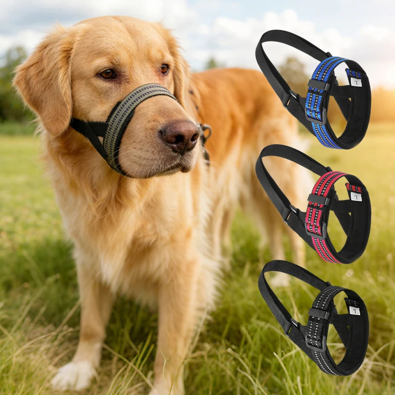 Museau Tactique – Contrôle Ultime & Style Militaire 🐕🦺🛑💛
