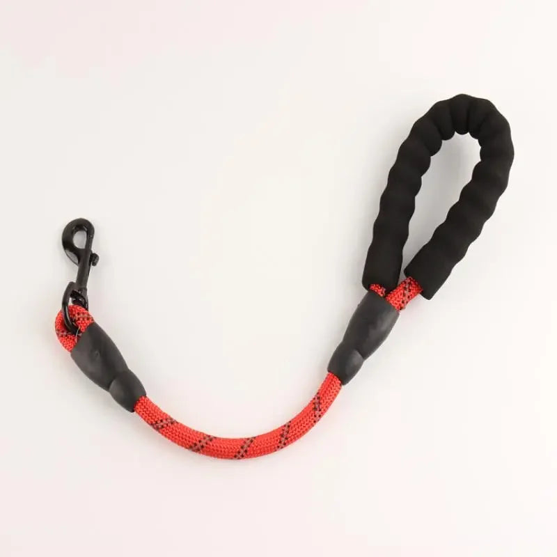 Reflective Bungee Leash – Comfort & Shock-Free Control 🐶💛