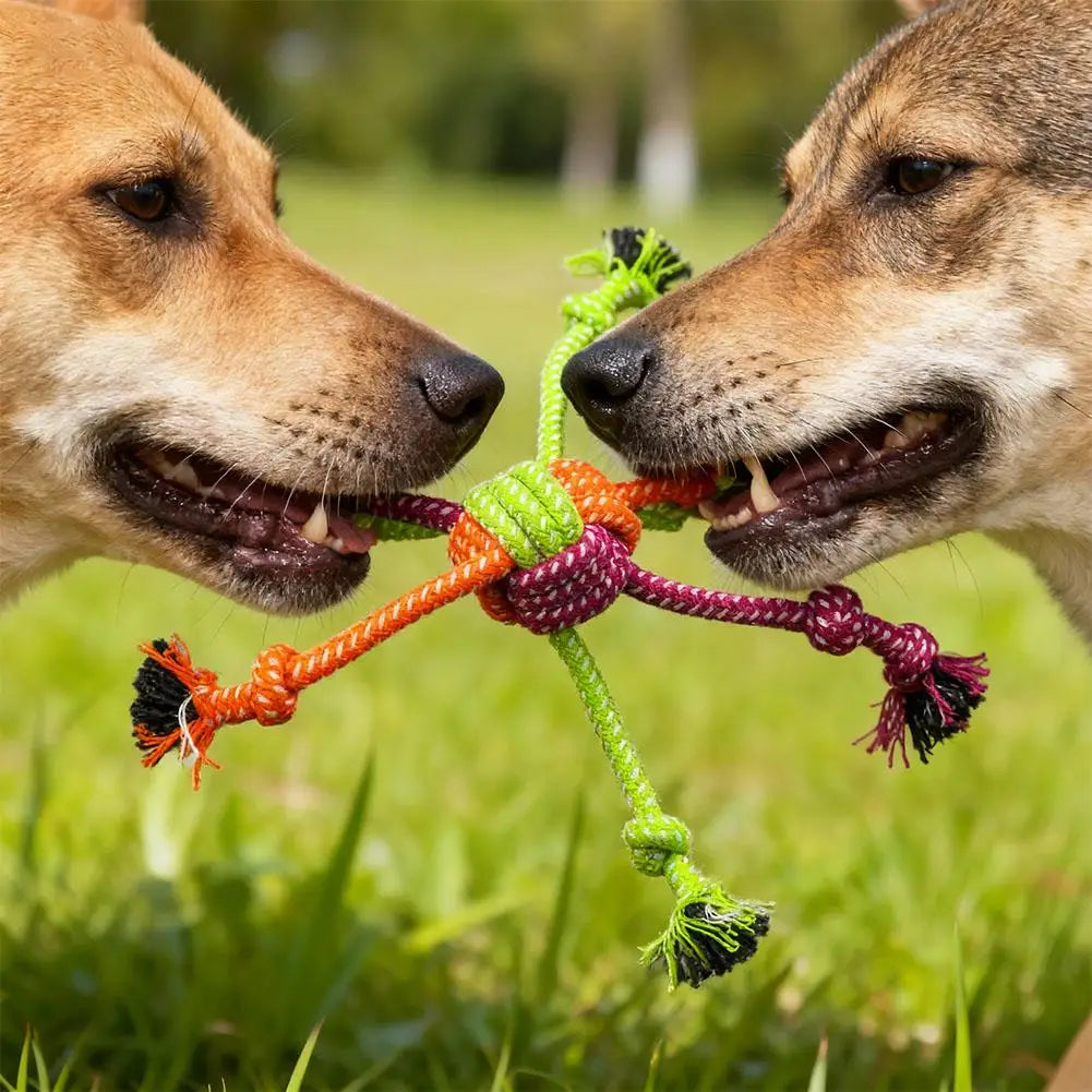 Jouet Corde Mini Résistant – Jeu & Santé Dentaire 🐶🪢💛