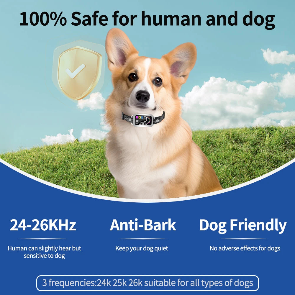 Collier Anti-Aboiement Intelligent – Son & Vibration Ajustables 🔇🐶💛