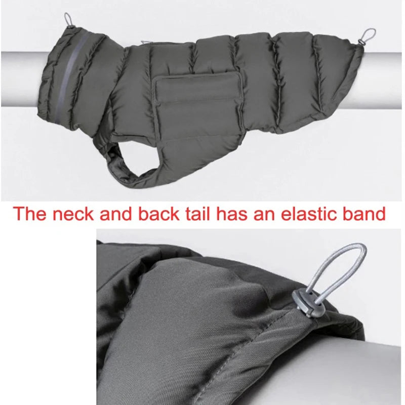 Windproof Winter Dog Jacket – Ultra Warm & Comfortable