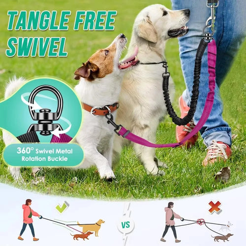Attache Double Laisse Anti-Choc – Promenez 2 Chiens Sans Stress 🐶🐶💛