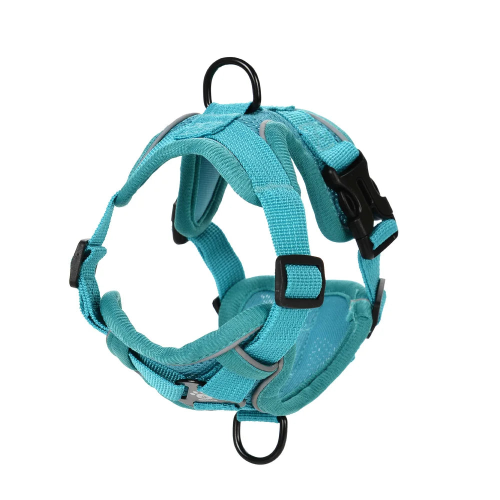 Reflective Hiking Harness + Leash – Active Safety & Comfort 🐶💛