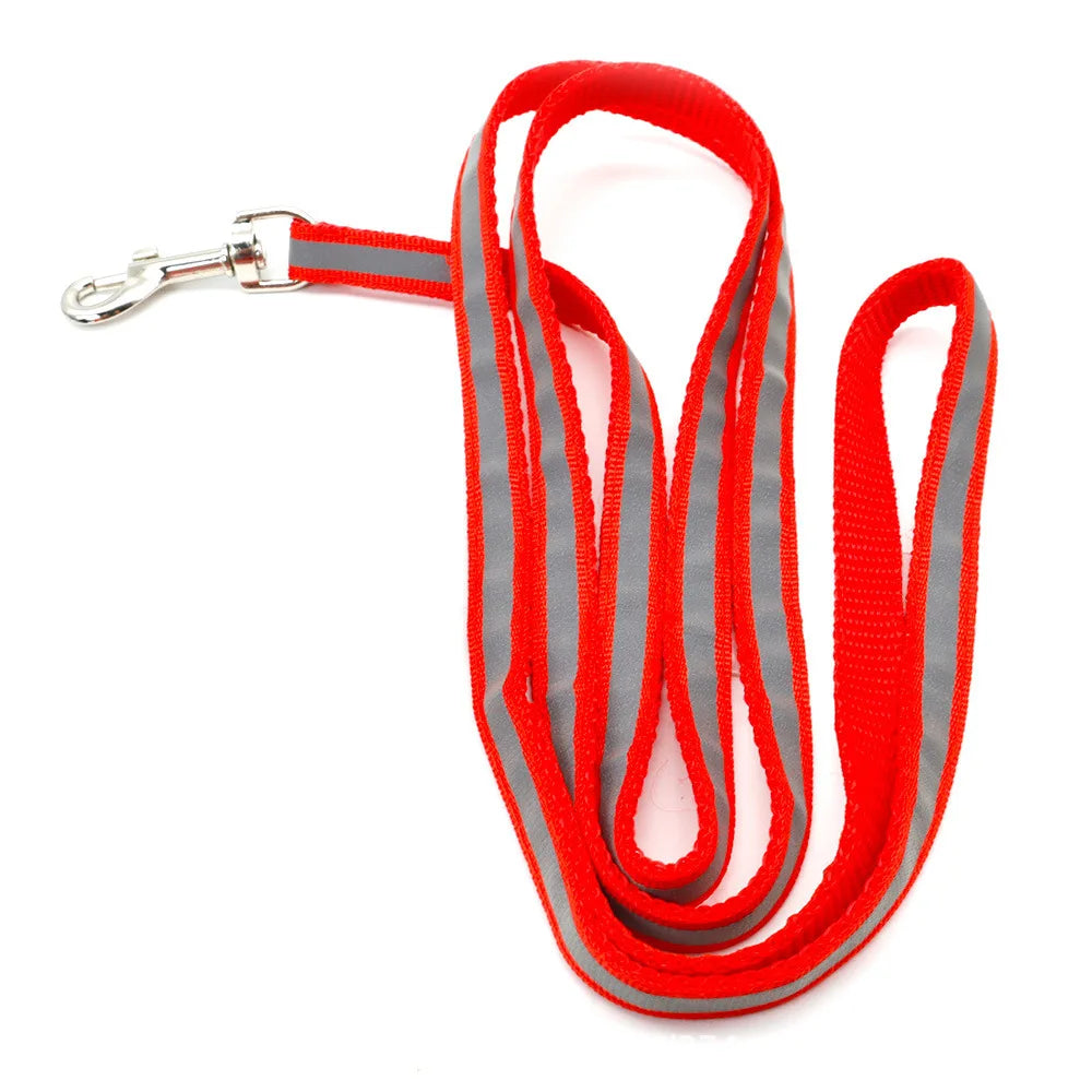 Reflective Leash – Safety & Simplicity for Everyday Use 🐶🌙💛