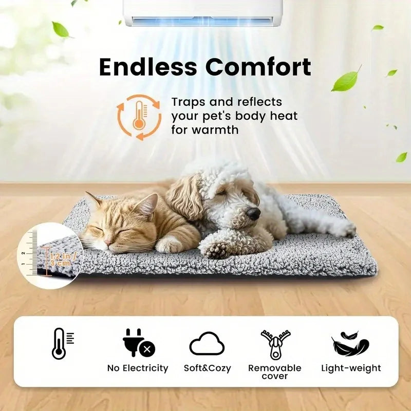 Non-Slip Heated Pet Mat – Comfort & Stability ❄️🐶