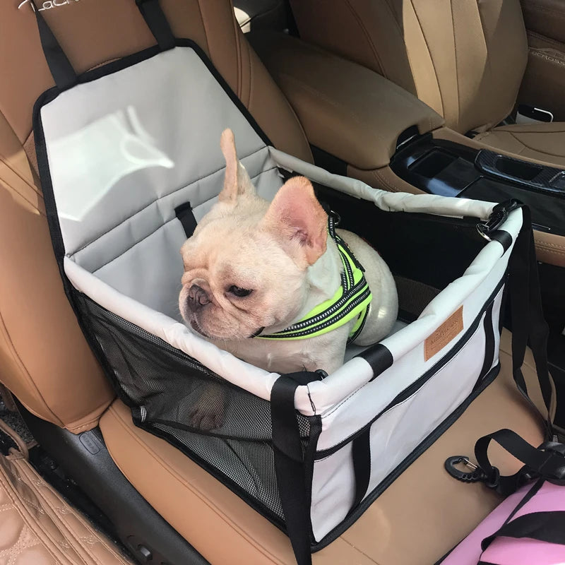 Comfort+ Car Seat – Safe & Cozy Travel 🚗🐶💛