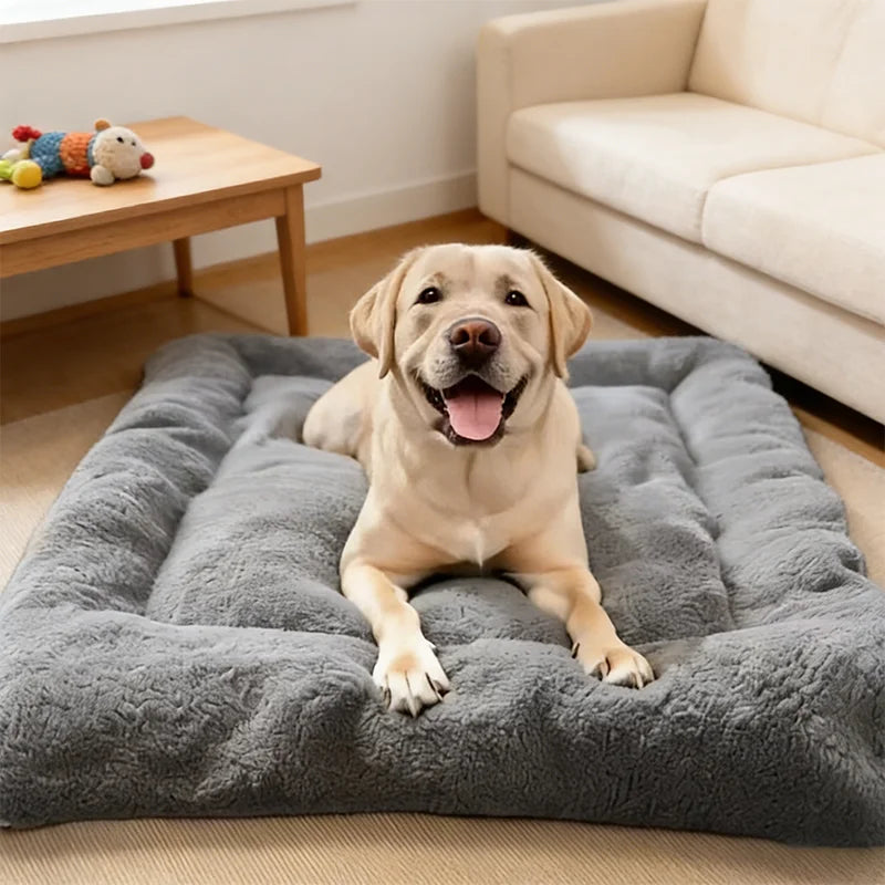 Lit Douillet Confort+ – Ultra Moelleux & Chaleur Apaisante 🐶🛏️💛