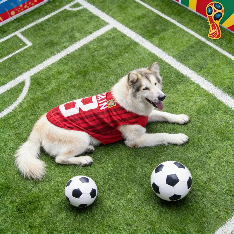Breathable Summer Jersey – Sporty Style & Cool Comfort ⚽🐶💛
