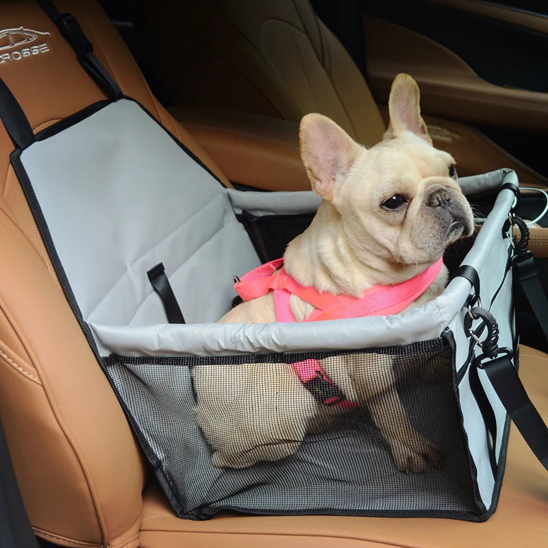 Comfort+ Car Seat – Safe & Cozy Travel 🚗🐶💛