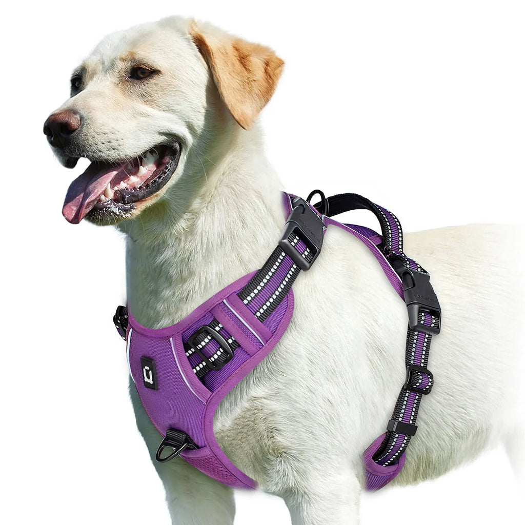 Harnais Anti-Traction Rembourré – Contrôle & Confort Optimal 🐶💛