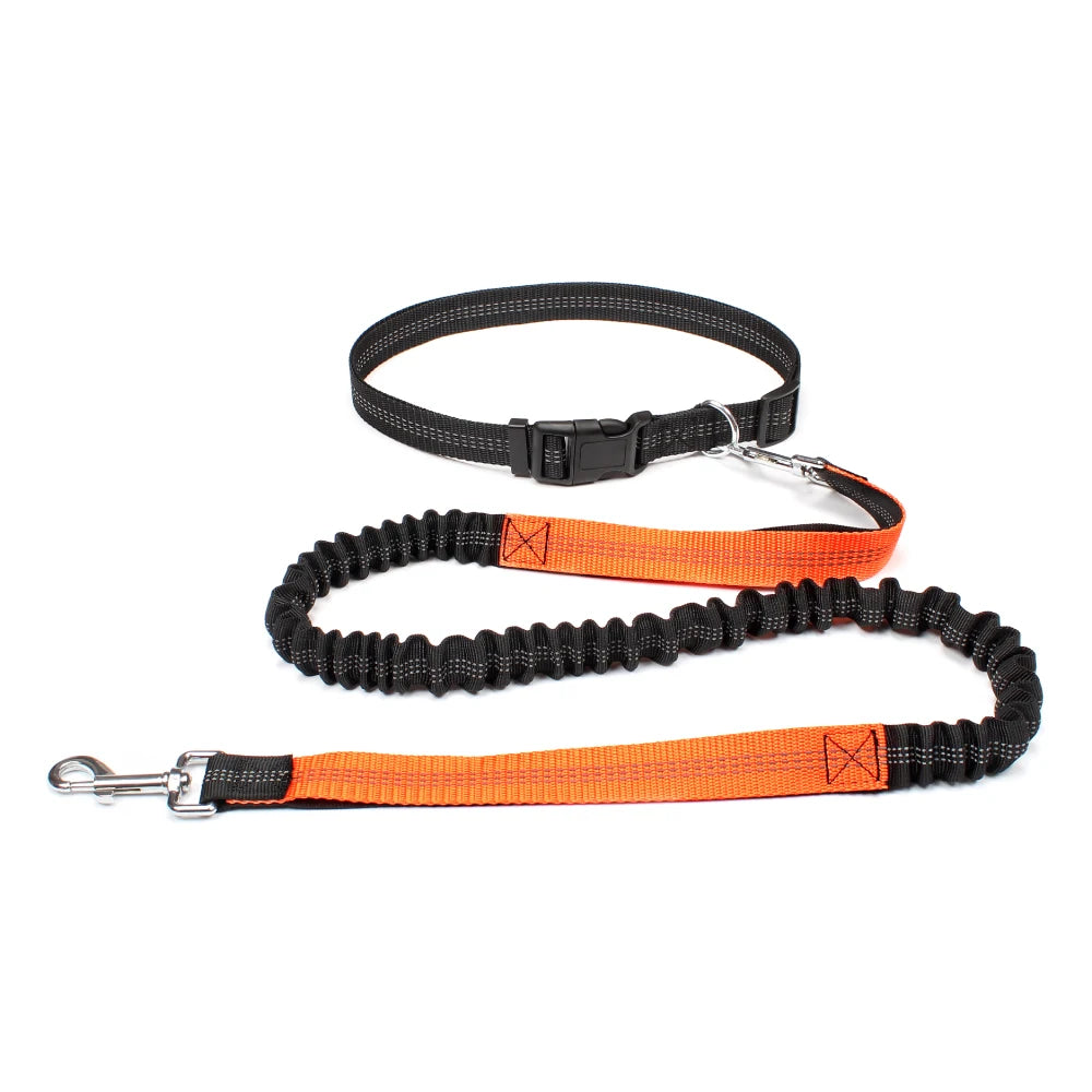 Comfort+ Hands-Free Leash for Dogs – Shock-Absorbing, Reflective & Adjustable 🐶🏃‍♂️💛