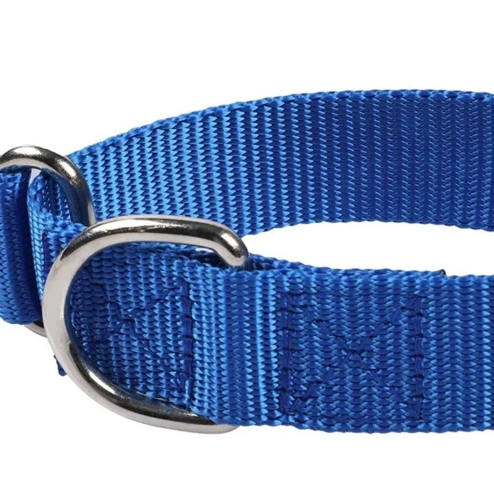 Martingale Anti-Escape Collar – Gentle Control & Total Security 🐶💛