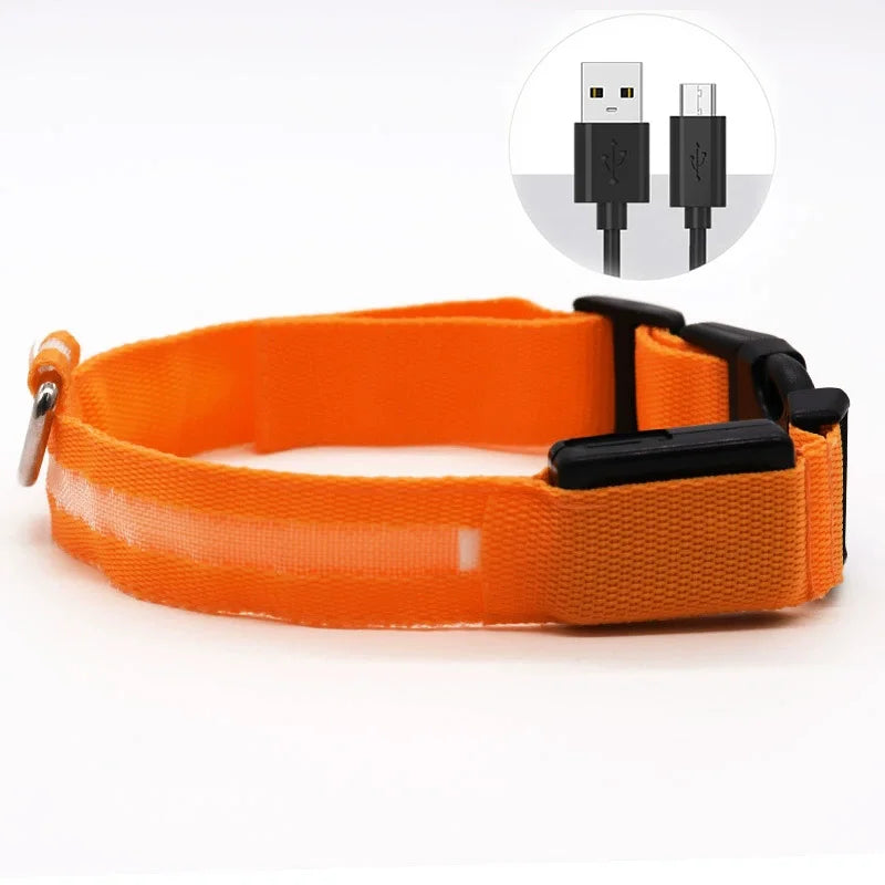 USB Rechargeable LED Collar – Maximum Visibility & Night Safety