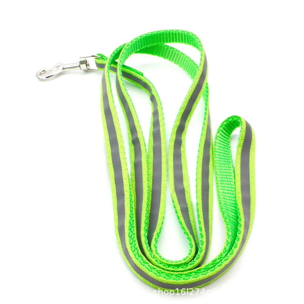 Reflective Leash – Safety & Simplicity for Everyday Use 🐶🌙💛