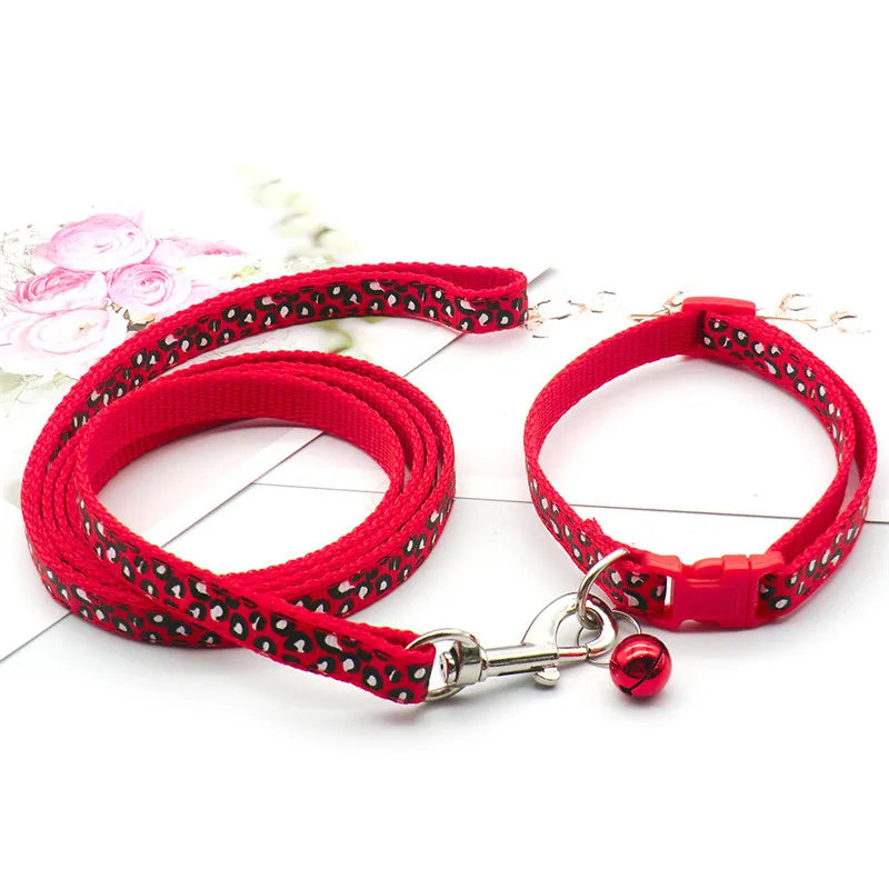 Leash & Collar Set – Everyday Style & Safety 🐶🎀💛