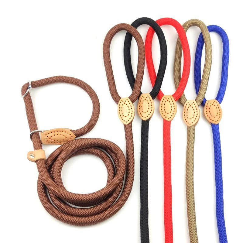 Adjustable Harness & Leash – Optimal Control & Comfort 🐶💪