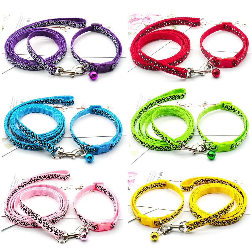Leash & Collar Set – Everyday Style & Safety 🐶🎀💛
