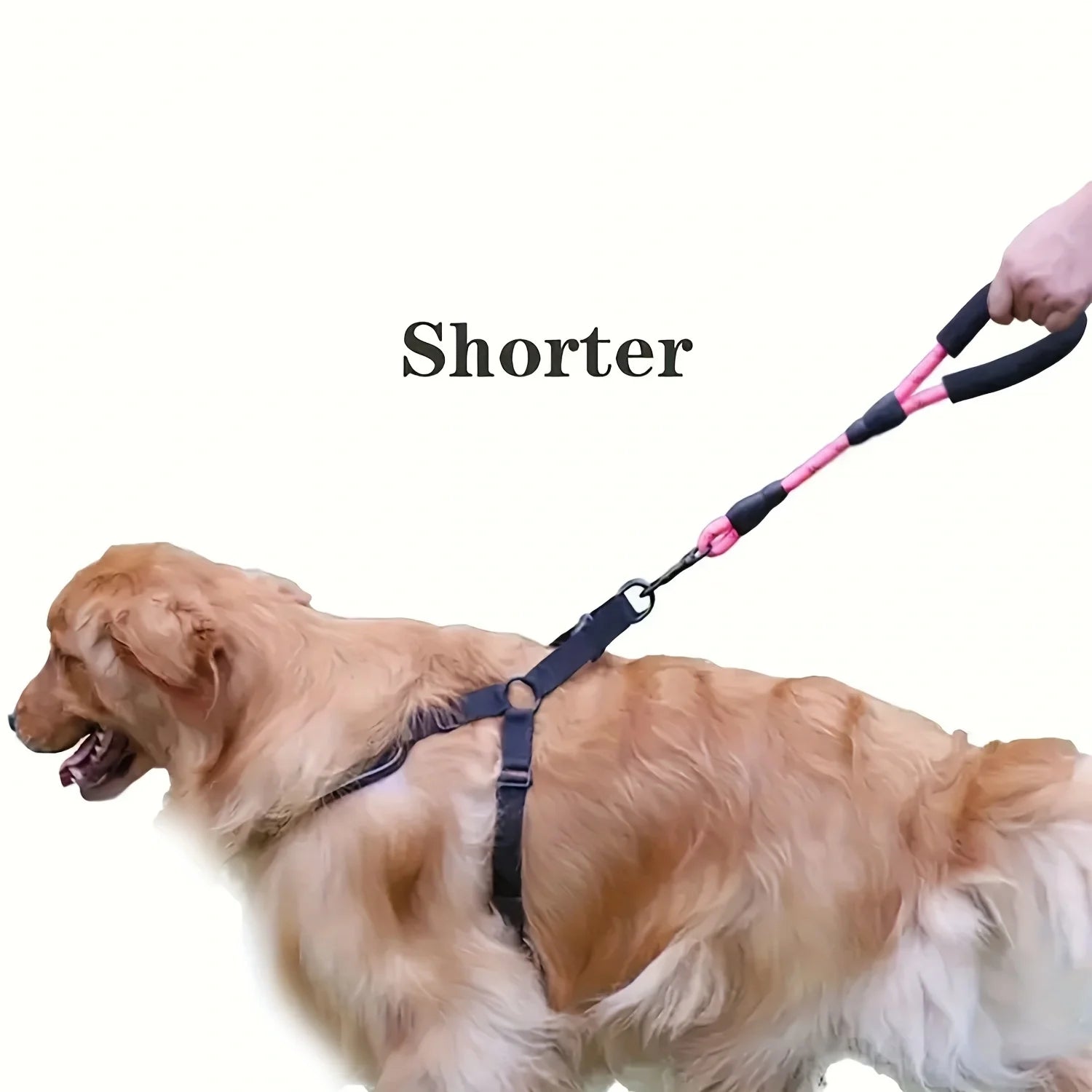 Reflective Bungee Leash – Comfort & Shock-Free Control 🐶💛