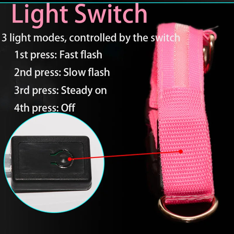 Collier LED Rechargeable USB – Visibilité Maximale & Sécurité Nocturne