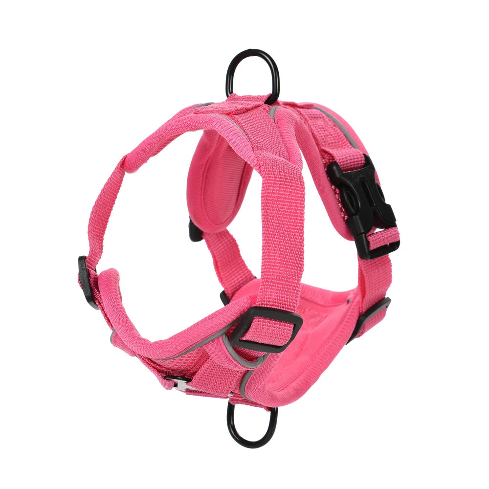 Reflective Hiking Harness + Leash – Active Safety & Comfort 🐶💛