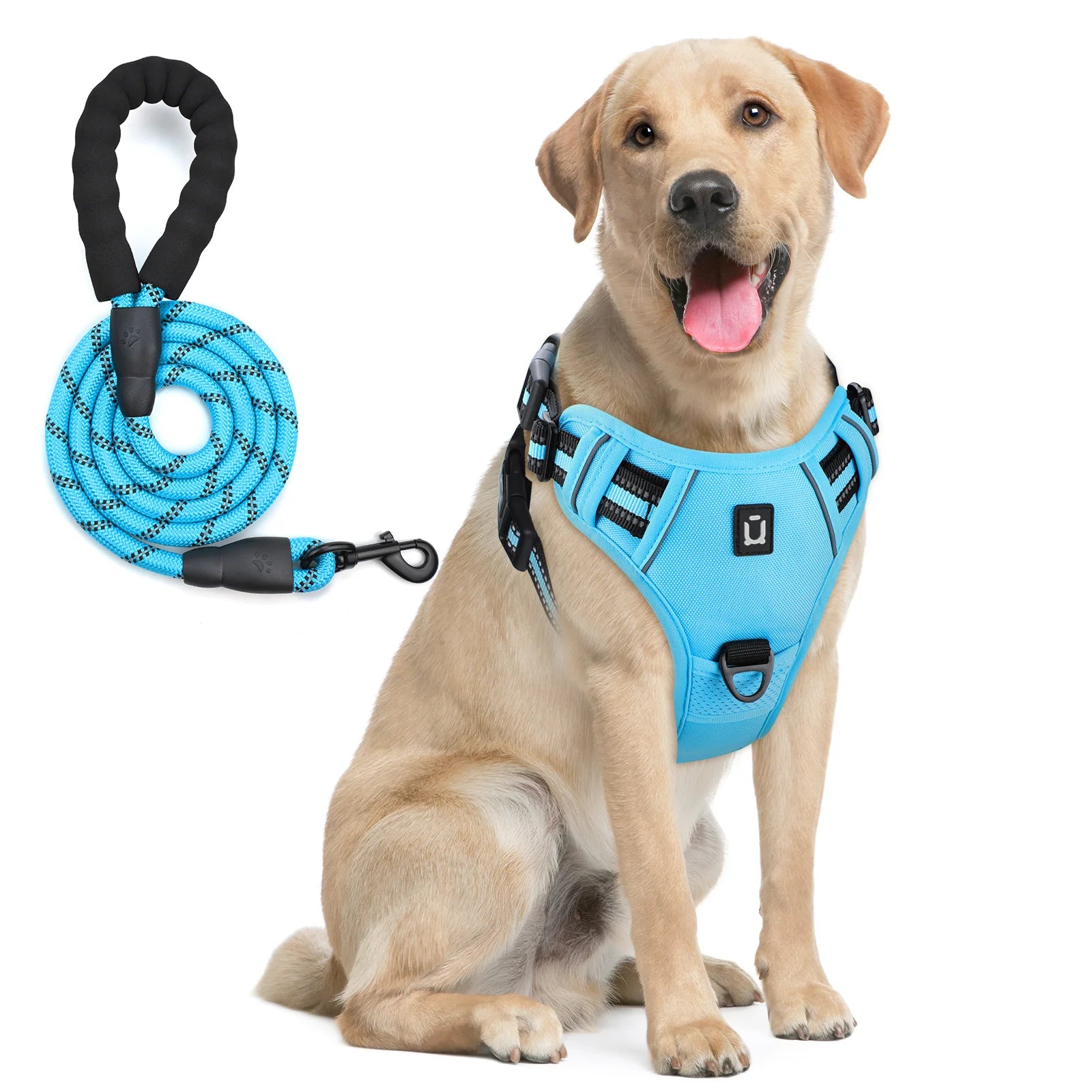 Anti-Pull Harness + 1.5 m Leash – Total Control & Comfort 🐶💛