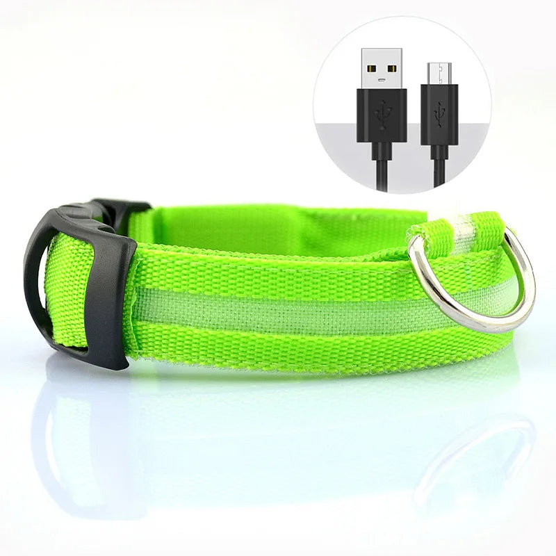 Collier LED Rechargeable USB – Visibilité Maximale & Sécurité Nocturne