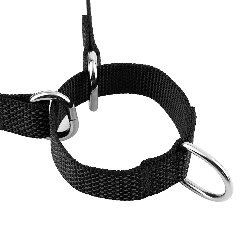 Collier Réfléchissant Ajustable – Sécurité & Confort Quotidien 🐶💛