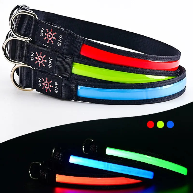 Collier LED Rechargeable – Visibilité 500m & Sécurité Nocturne 🌙🐶💛