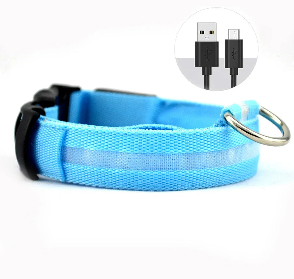 USB Rechargeable LED Collar – Maximum Visibility & Night Safety