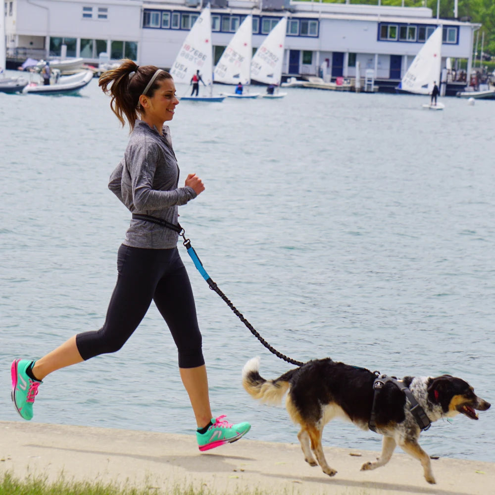 Laisse Mains Libres Confort+ pour Chien – Anti-Choc, Réfléchissante & Ajustable 🐶🏃‍♂️💛