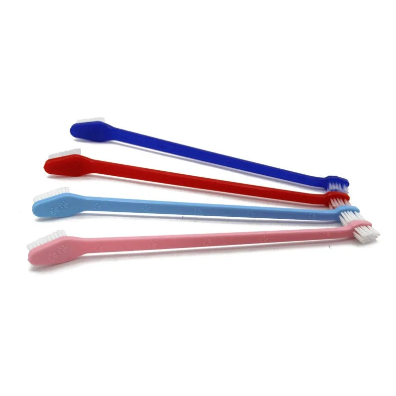 Kit Brosse à Dents pour Chien & Chat – Hygiène Complète & Haleine Fraîche 🦷🐾