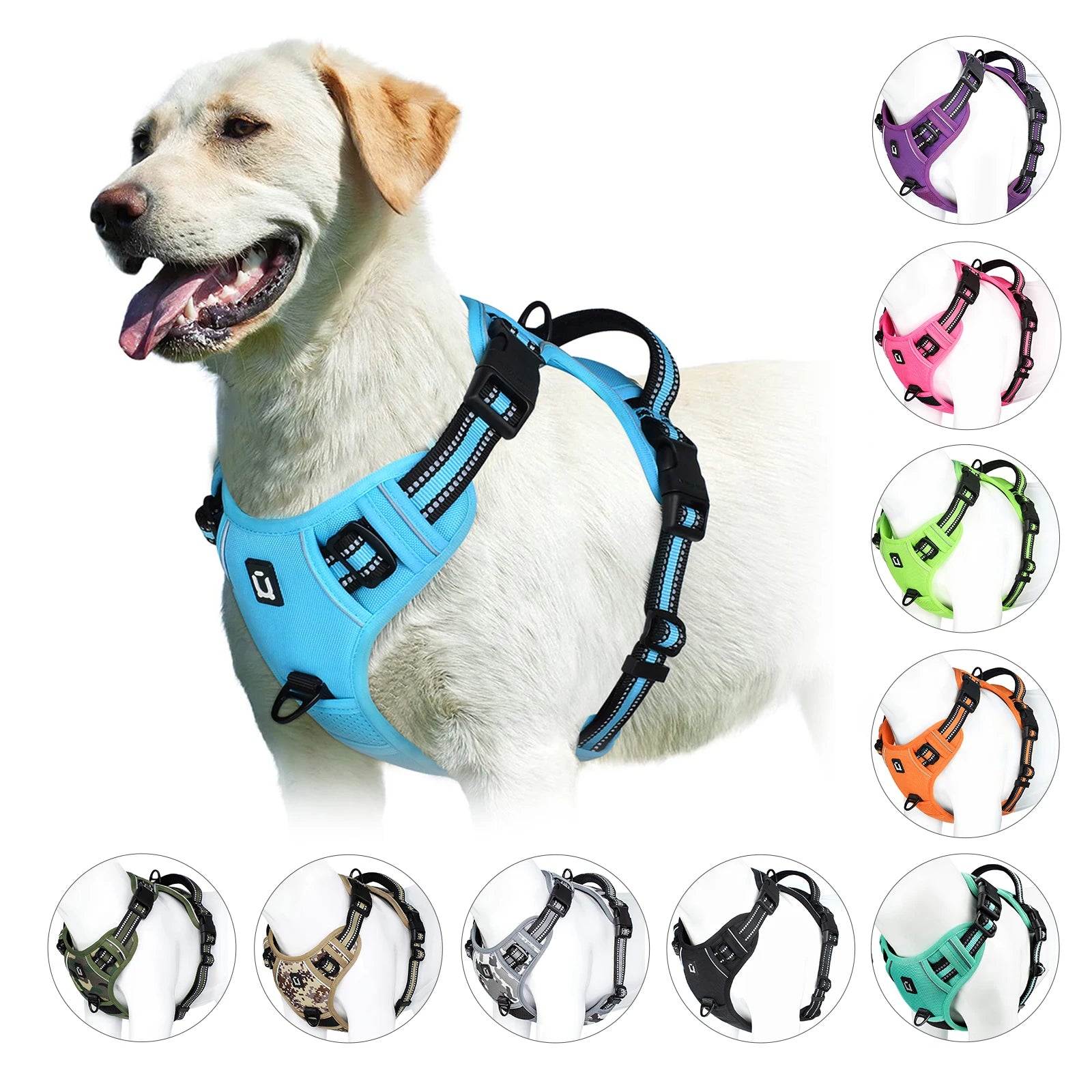 Padded No-Pull Harness – Optimal Control & Comfort 🐶💛