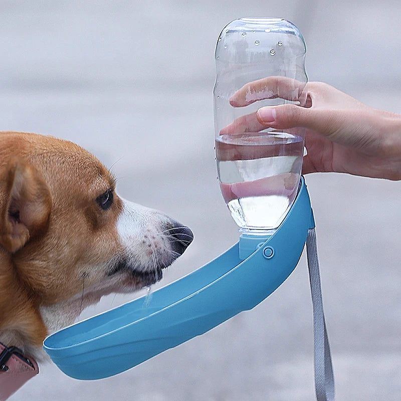 Bouteille Pliable Portable – Hydratation Facile Partout 🐶💧